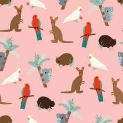 animated animals aussie animals spring