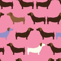 animated animals dachshund summer