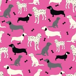 animated animals dogs summer