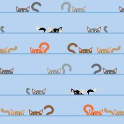 animated animals kurious kats spring