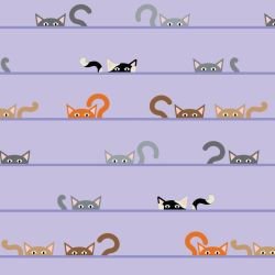 animated animals kurious kats summer