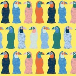 animated animals toucan spring