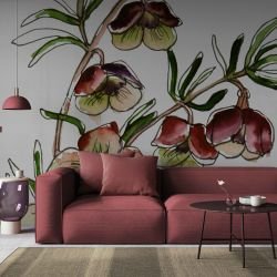 australian native doodles concept brown boronia