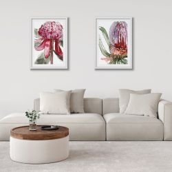 australian native doodles concept framed artworks