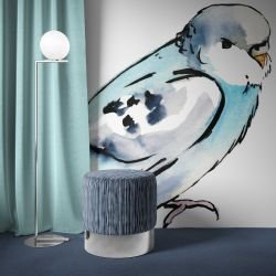australian native doodles birds blue budgie concept 