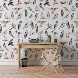 australian native doodles birds concept feathered finesse 