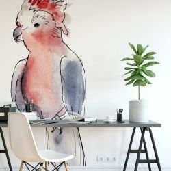 australian native doodles birds major mitchell perched concept 