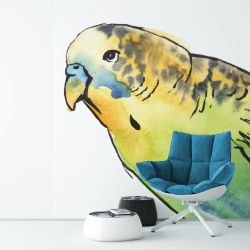 australian native doodles birds opaline budgie concept