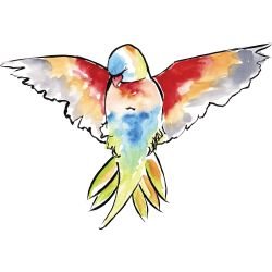 australian native doodles birds rainbow lorikeet