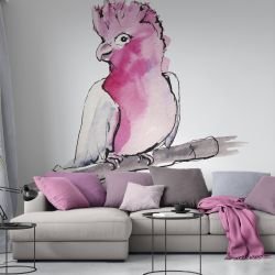 australian native doodles birds red breasted galah concept 