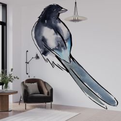 australian native doodles birds wagtail concept