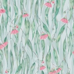 australian wildflowers blooming gums lagoon