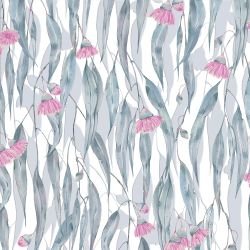 australian wildflowers blooming gums white