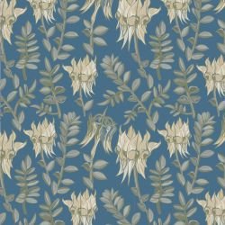 australian wildflowers desert pea blue