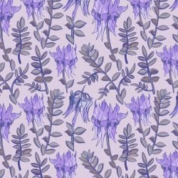 australian wildflowers desert pea purple