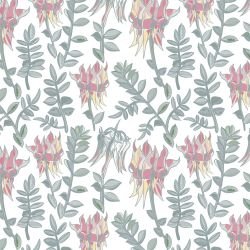 australian wildflowers desert pea white