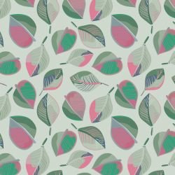 australian wildflowers falling leaves haze