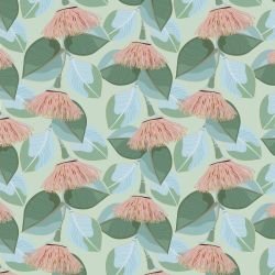 australian wildflowers silver eucalyptus haze