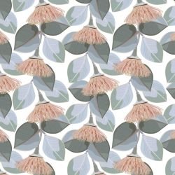 australian wildflowers silver eucalyptus silver