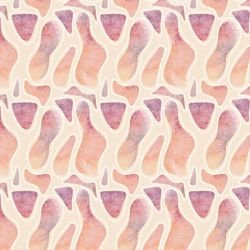 ngoolark stones fig tree daylight