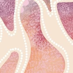 ngoolark stones fig tree daylight detail