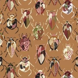 wildstralia beetle highway raw