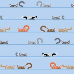 animated animals kurious kats spring 