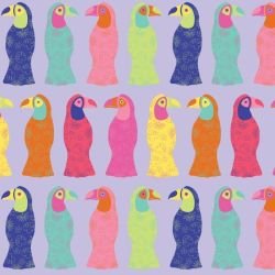 animated animals toucan summer 