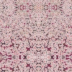 dreaming tracks mother mimi small illinois 