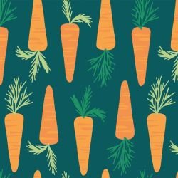 tasty treats carrot summer