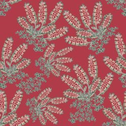 whadjuk dreaming my country bottlebrush cluster earth