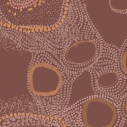 ngoolark creeks brick bimbi detail