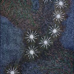 whadjuk dreaming sisteres dreaming 