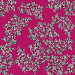 whadjuk dreaming my country bottlebrush sprays magenta