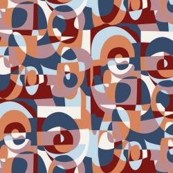 expression fragmentary zinnia