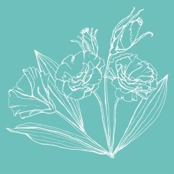 flower doodles  mural grounding florals teal white reverse