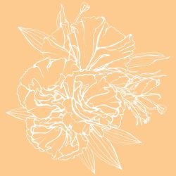 flower doodles mural fleeting colour apricot white reverse
