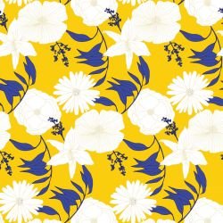 flower spray flower love camomile