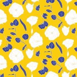 flower spray rosy day camomile