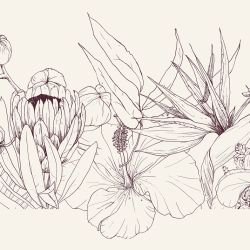 flowing flora tropical floral border mulberry eggshell