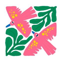 natures playland soaring coloured trails