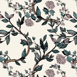 garden muse climbing hydrangea cream