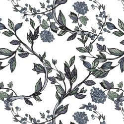 garden muse climbing hydrangea purple green