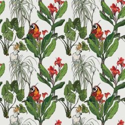 garden villa nesting birds grey