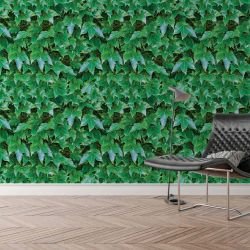 Green Walls