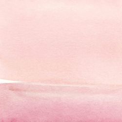 horizon hues flamingo sky