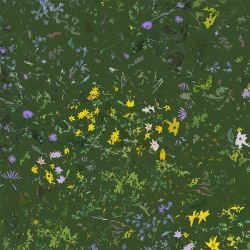 landscape   daisy   green   detail