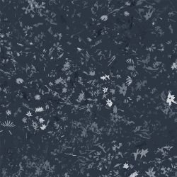 landscape   daisy   midnight  detail