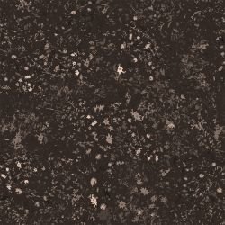 landscape   daisy   mocha