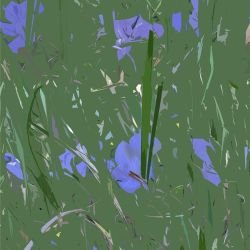 landscape   iris   green   detail